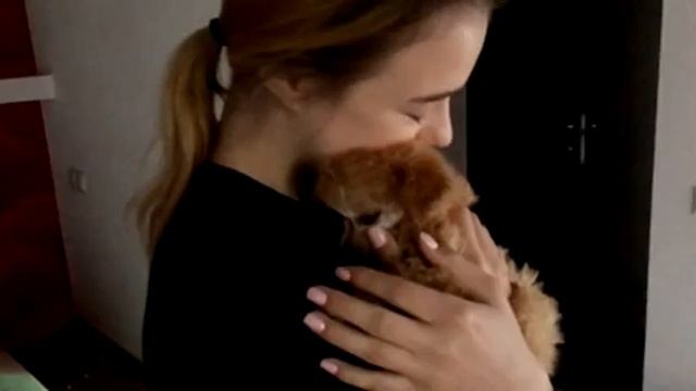 VLOG ●бумчик Стиль собачки Порванные 100 Долларов смотреть онлайн