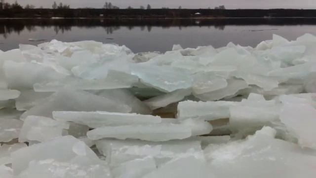 Лед на реке Нева, пос. Саперный смотреть онлайн