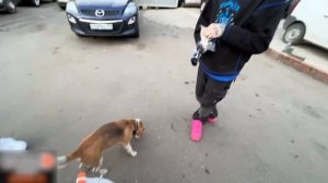 ОПАСНЫЕ ГОНКИ на МОТОЦИКЛАХ / Кореш, Парадеевич, Куертов, PLOHOYPAREN и PINQ