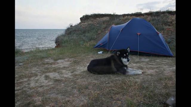 Мой преданый Друг смотреть онлайн