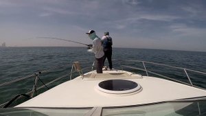 Обзор спиннинга Favorite X1 Travel