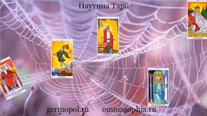 Паутина Таро