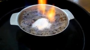 Интересные опыты с детьми: выращивание змея в домашних условиях. Или— ЗАСТЫВШЕЕ ИЗВЕРЖЕНИЕ ВУЛКАНА!