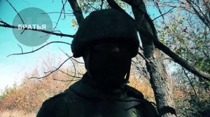 сво, война