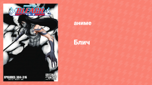 Блич: Арранкар: Падение 304 серия (аниме-сериал, 2004)