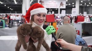 Самые необычные лакомства кошек