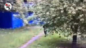 ККХТА В РЕАЛЬНОЙ ЖИЗНИ!!