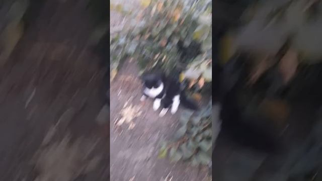 Ген.дир контролирует работу рабочих смотреть онлайн