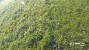 Garrett AT MAX: смысл функции Iron Audio