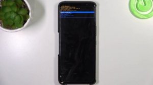 Как выйти из режима рекавери на Asus ROG Phone 6D - Выход из меню рекавери на Asus ROG Phone 6D