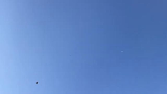 Гоняю 4 породы голубей / Как правильно гонять голубей смотреть онлайн