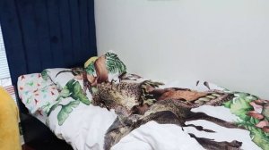 Хайди и Зидан учат младшего брата как важно чистить зубы