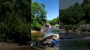 Рыбоводный завод полностью перекрыл нерестовую реку на Сахалине