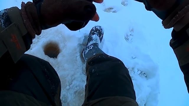 Дельта С.Двины 15.01.18 смотреть онлайн