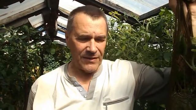 ВЫРАЩИВАНИЕ ДЫНЬ В СИБИРИ смотреть онлайн