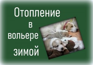 Тепло  в вольере для маленьких щенков