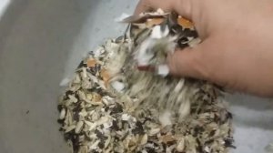 Самый бюджетный вариант дренажа и самые удобные и практичные стаканчики для рассады.