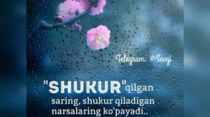 Shukrona yozish tartibi - o'zimiz xoxlagan narsalarning bizga teziroq kelish yo'llari