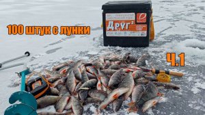 Открыл сезон 23-24 | Рыбалка на балансир |  Вислая 1 серия