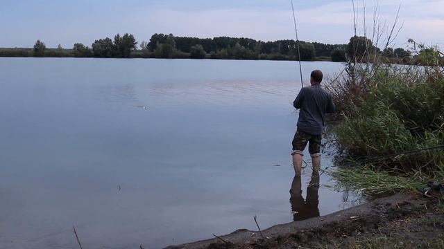 Ловля крупного толстолобика на пруду / Знакомство с прудом смотреть онлайн