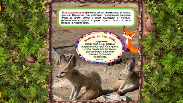 Фенек смотреть онлайн