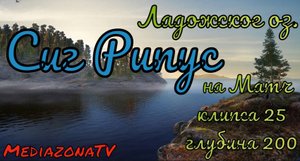 Русская Рыбалка 4 Где Клюет ? Ладожское оз. Сиг Рипус 22.10
