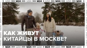 Как живут китайцы в России? — Москва 24 |Это Москва!