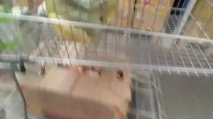 ВКУСНЯШКИ 😋 ПОКУПАЕМ В METRO 👍 ОБЗОР НА ТОВАРЫ И ЦЕНЫ В METRO