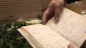 В Ростове мужчина в подвале выращивал коноплю