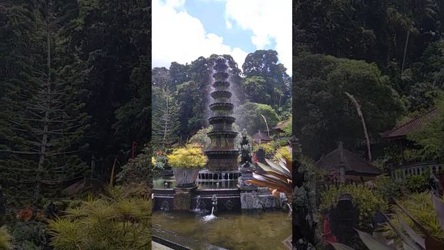 Tirta Ganga royal palace & garden #garden #bali #nature #travelvlog #travel #indonesia #garden смотреть онлайн