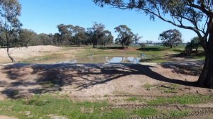 Emu farm australia