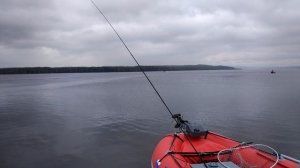 Димон на новой лодке Азимут атлас 365