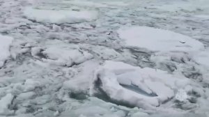 Спасательная операция на острове Шумшу завершена