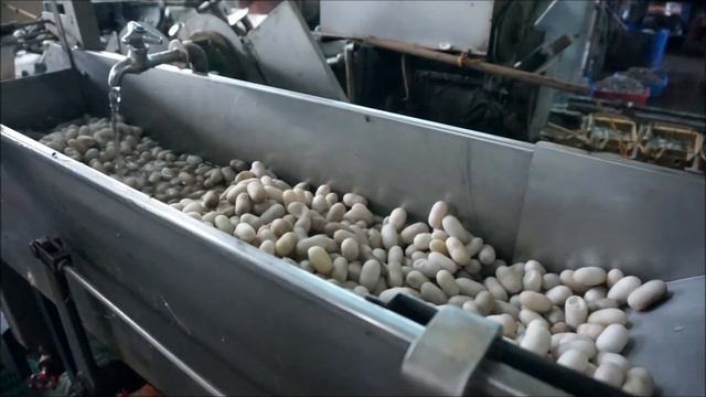 Производство шелковой нити смотреть онлайн