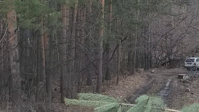 Весна пришла