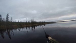 Ловля щуки на спиннинг в июне часть 1