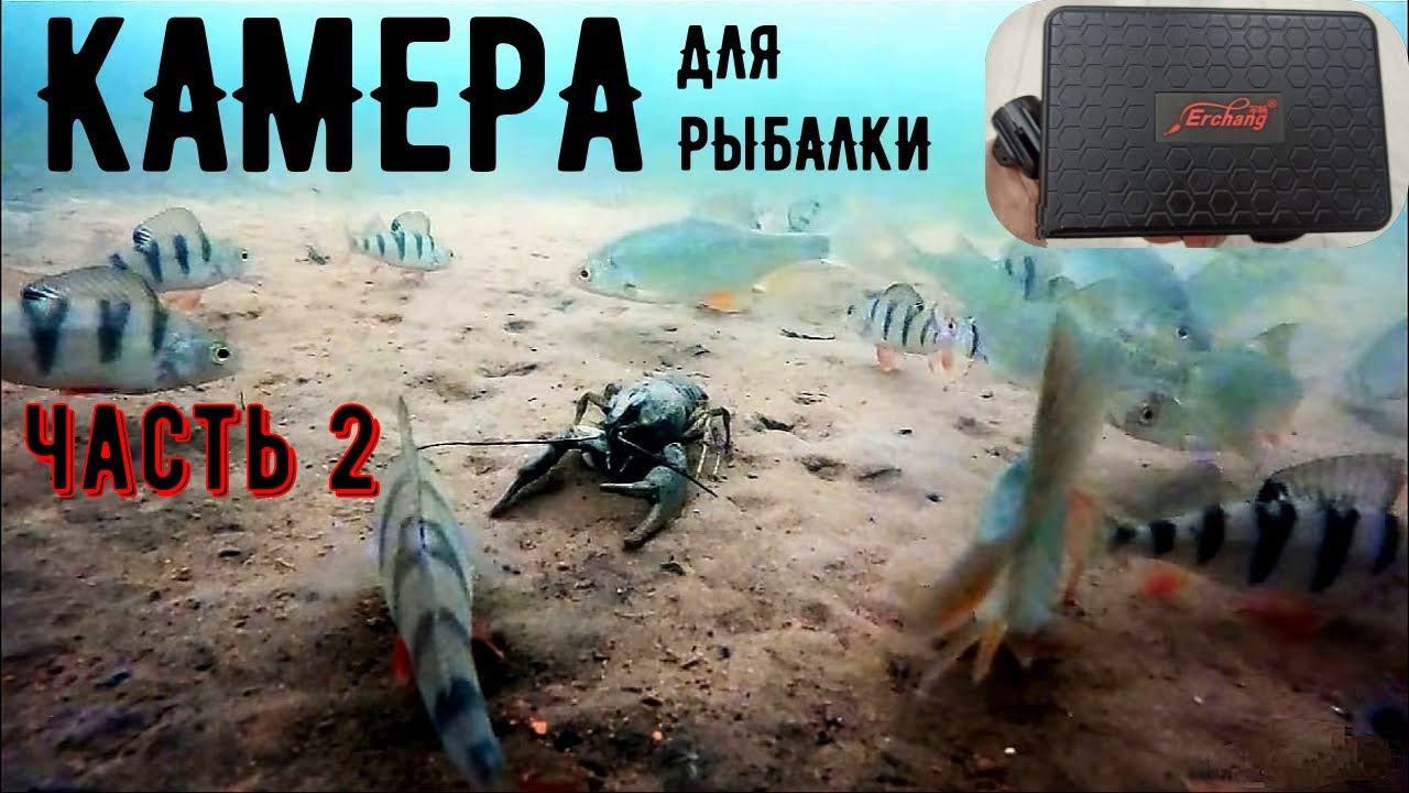 Бюджетная подводная камера для зимней рыбалки Erchang F431 видео с рыбалок, отзыв