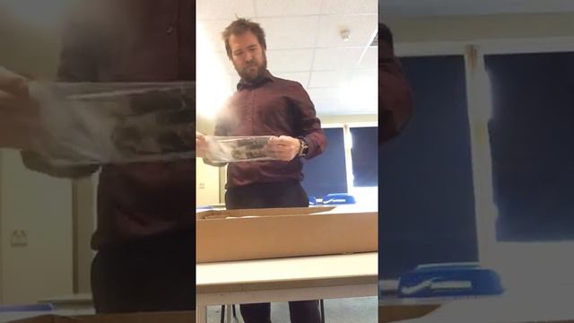 GOAT unboxing Epiphone Tony Iommi Custom Limited Edition SG смотреть онлайн