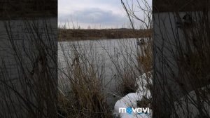 Весна 2019 первый заплыв. Лодка Аква 3600 нднд под Гладиатор ом 9.9