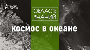 Почему мировой океан так мало изучен человеком? Лекция биолога Александра Семёнова.