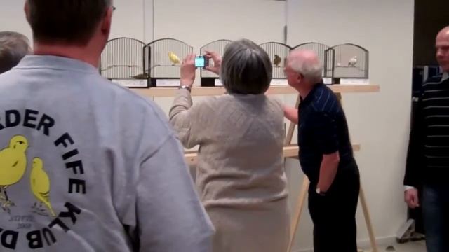 DBF Nordic Open 2011 смотреть онлайн