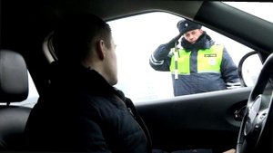 Какие автомобили реже всего останавливает ГИБДД