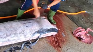 How to cut giant marlin fish - Taiwanese street food