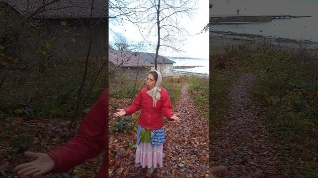 Волк и Журавель . Жан де Лафонтен