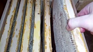 Так лучше ставить рамки в магазин