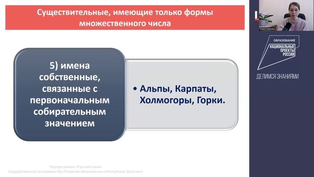 Число имён существительных