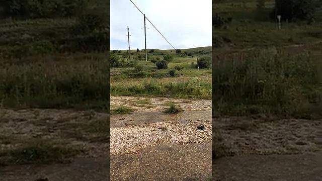 Прогулка к речке.mp4