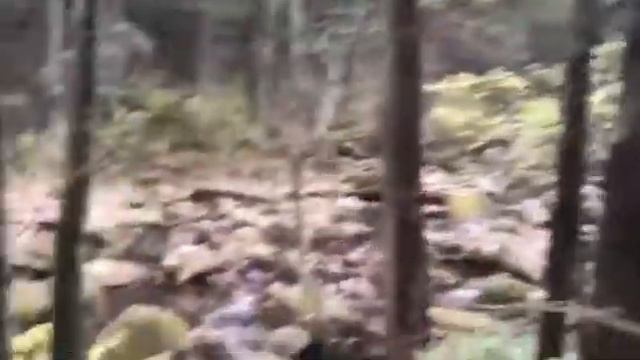 @polina_mansyrova благодарю тебя земля смотреть онлайн