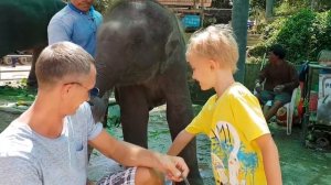 Слонячьи нежности.Слонёнку,с хоботом,всего 2.5 годика)Демьян их очень любит,но побаивается)