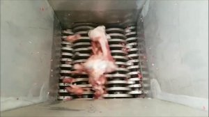 Дробилка костей и измельчитель мясокостного сырья